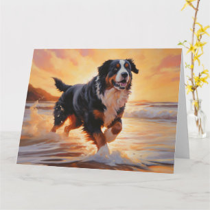 Sandy Tassar Bernese Mountain Hund on Beach Sunset Kort