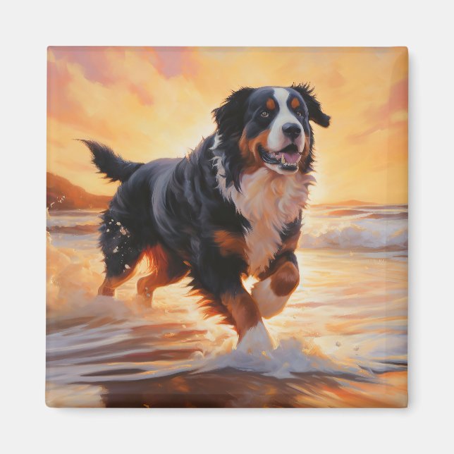 Sandy Tassar Bernese Mountain Hund on Beach Sunset Magnet (Framsidan)