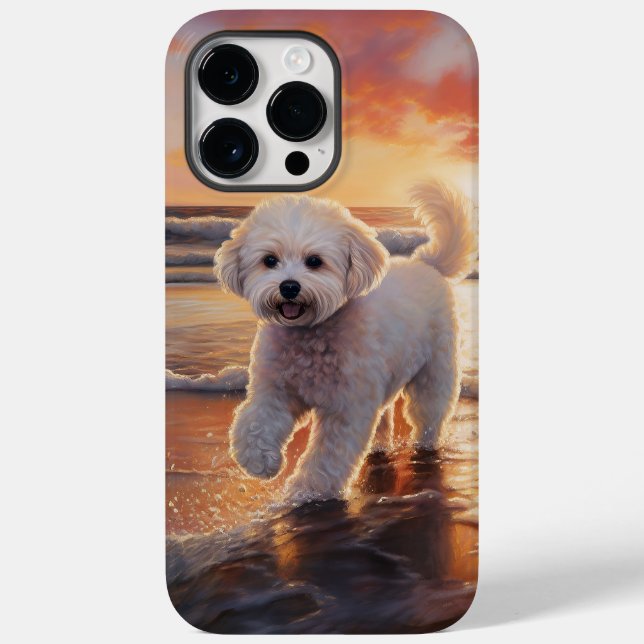 Sandy Tassar Bichon Frise Hund on Beach Sunset (Baksida)