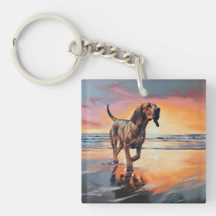 Sandy Tassar Bloodhound Hund on Beach Sunset