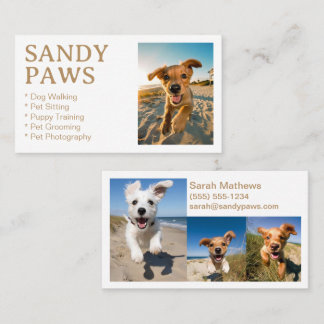 Sandy Tassar Hund Walking Pet Photography Grooming Visitkort