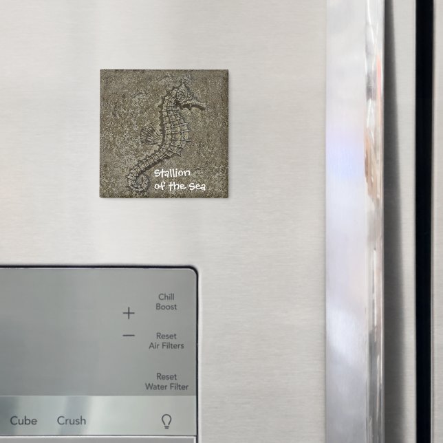 Sandy Textured Seahorse Photograph Magnet (In Situ (Fridge))