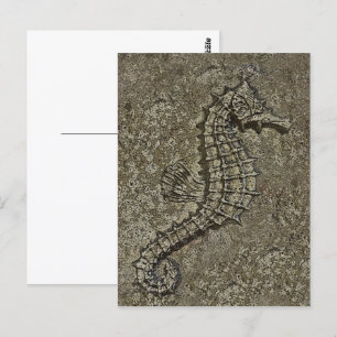 Sandy Textured Seahorse Photograph Vykort