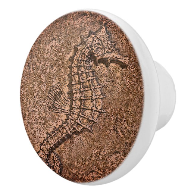 Sandy Texturerad Seahorse Digital Art Knopp (Höger)