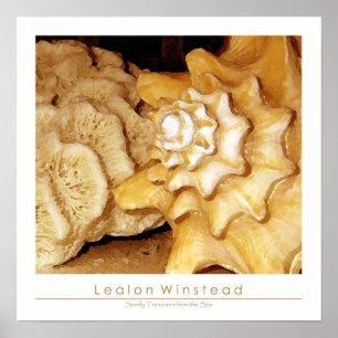 Sandy Treasures from Sea Poster