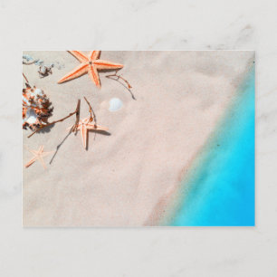 Sandy Tropical Beach Starfish Seashell Vykort