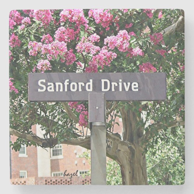 Sanford Drive Flowers Atens Georgia Underlägg. Underlägg Sten (Framsidan)