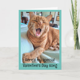 Sång av Ginger Cat för Speciella Valentine Kort