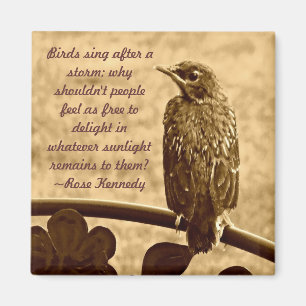 Sång efter stormen magnet