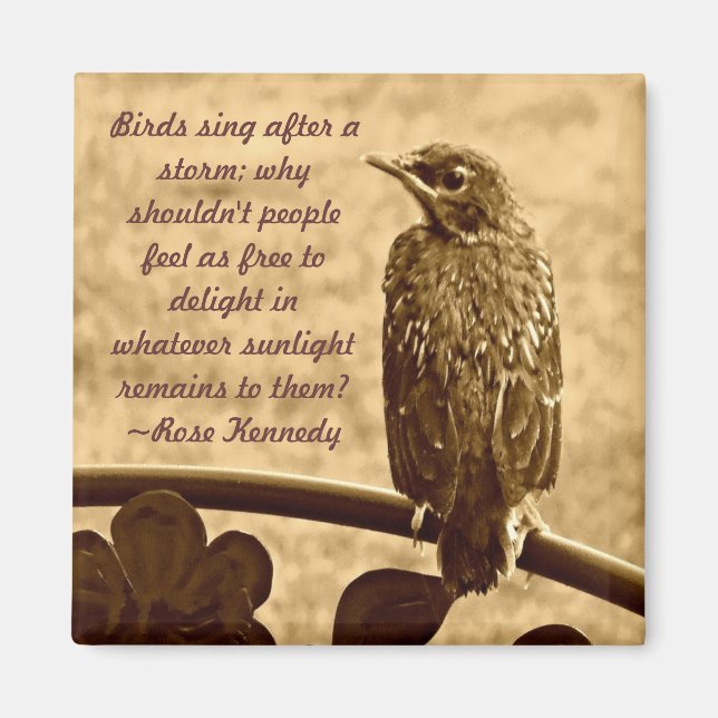 Sång efter stormen magnet (Framsidan)