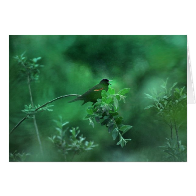 Sång Hälsningskort (Framsidan Horizontal)