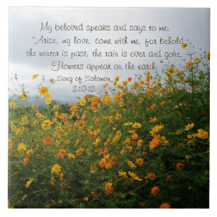 Sång i Solomon 2:10-12, Bible Verse, Flowers Kakelplatta
