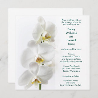 Sång i Solomon 2:16a Min älskade är min bröllop Inbjudningar