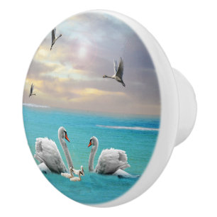 Sång i Vita Svan. Knopp