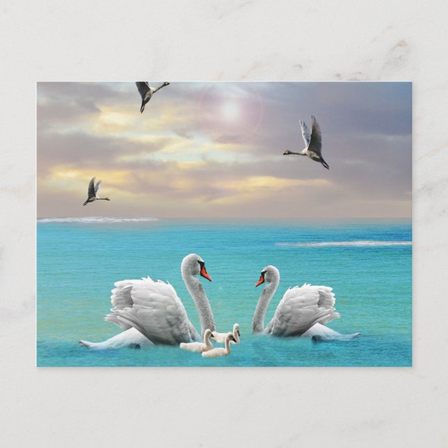 Sång i Vita Svan. Vykort (Framsida)