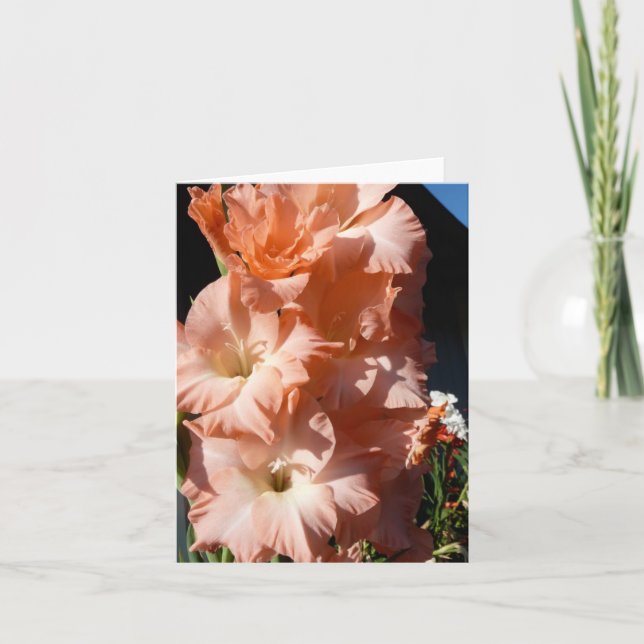 Sång kort för Gladiola sympati (Framsida)
