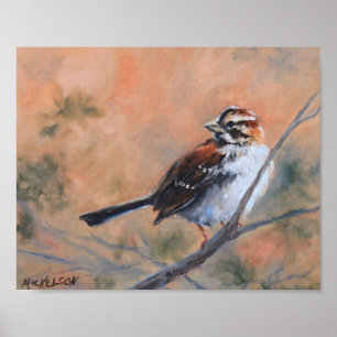 Sång Sparrow Fine Art Skriv ut Poster