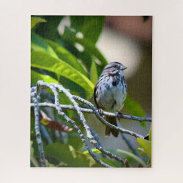 Sång Sparrow Pussel