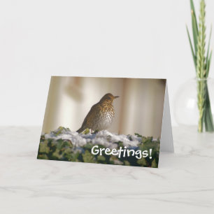 Sång Thush Hälsning Card Helgkort