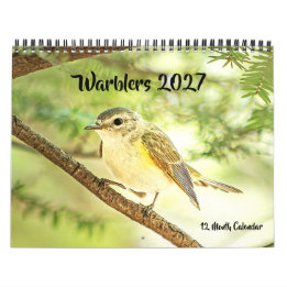 Sångare 2027 Väggkalender Kalender
