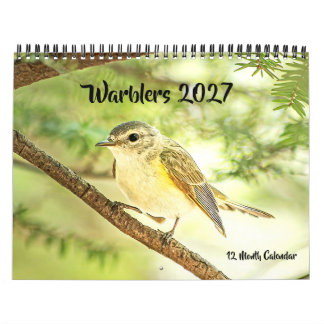 Sångare 2027 Väggkalender Kalender