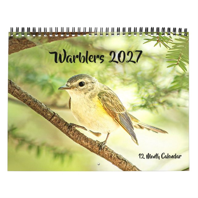 Sångare 2027 Väggkalender Kalender (Omslag)
