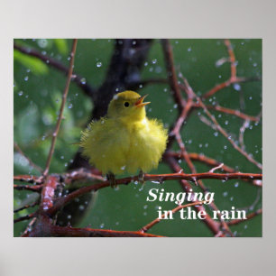 Sångare Poster