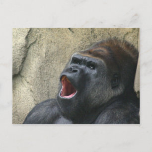 Sångergorilla vycard vykort