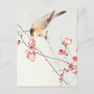 Sångfågel på blommande gren - Ohara Koson - försto Vykort