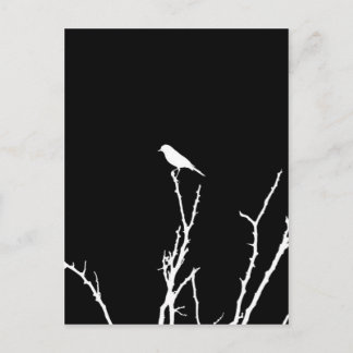 Sångfågelnatt Vykort