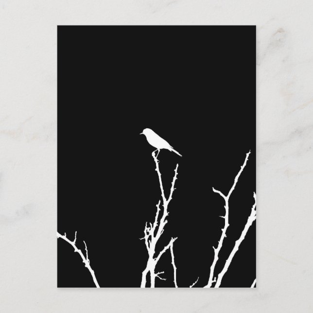 Sångfågelnatt Vykort (Framsida)