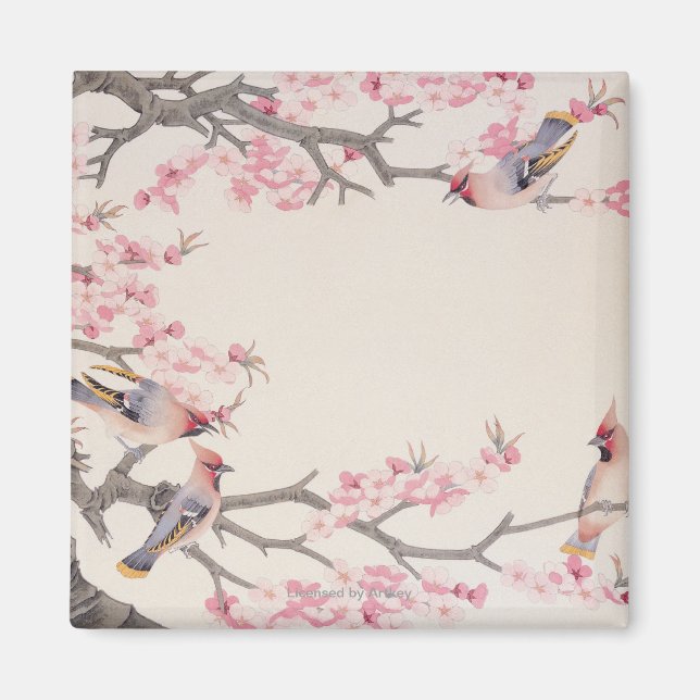 Sångfåglar i Vår Magnet (Framsidan)