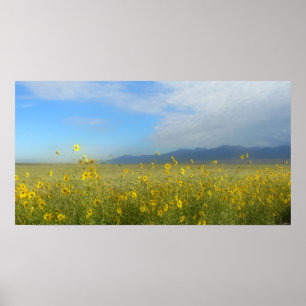 Sangre de Cristo, Underbar Sand Dunes och blommor Poster