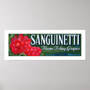 Sanguinetti Grapes etikett Poster
