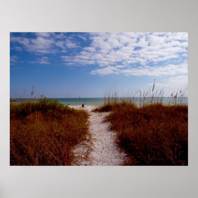 Sanibel Beach Poster (Framsidan)