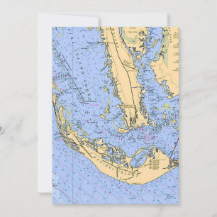 Sanibel Captiva Marin 5x7 Stor Postkort