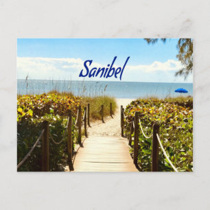 Sanibel Island Florida Strand Hav Vykort