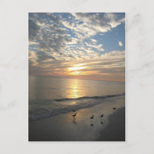 Sanibel Island, Florida Vykort