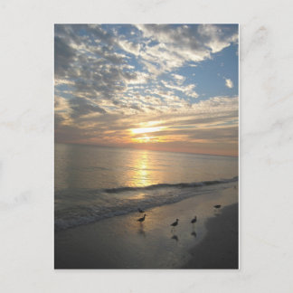 Sanibel Island, Florida Vykort
