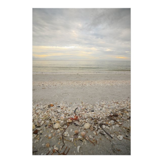 Sanibel Island Outlook Fototryck (Framsidan)