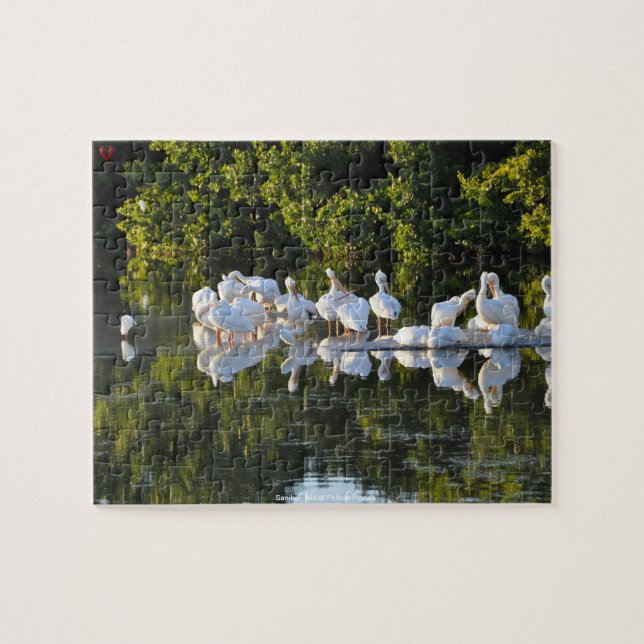 Sanibel Island Pelikaner Florida Pussel (Horisontell)