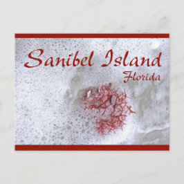 Sanibel Island Red Sjögräs vykort