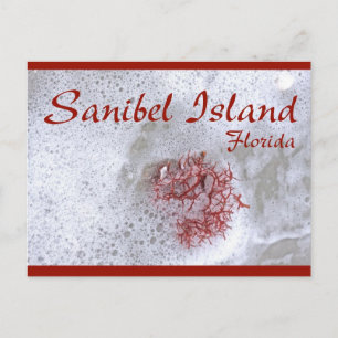 Sanibel Island Red Sjögräs vykort