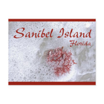 Sanibel Island Red Sjögräs vykort