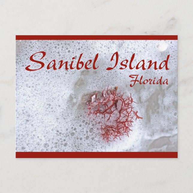 Sanibel Island Red Sjögräs vykort (Framsida)