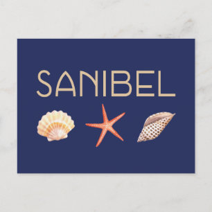 Sanibel Island Seashells Vykort