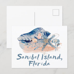 Sanibel Island Seashells Vykort