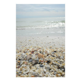 Sanibel-Snäckor Fototryck