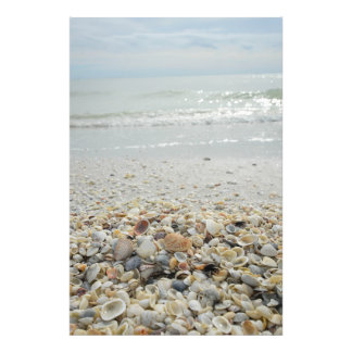 Sanibel-Snäckor Fototryck