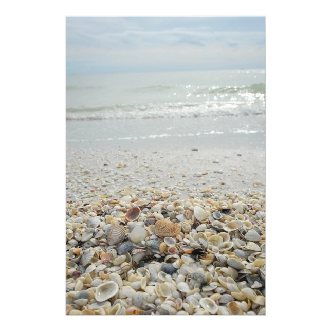 Sanibel-Snäckor Fototryck (Framsidan)